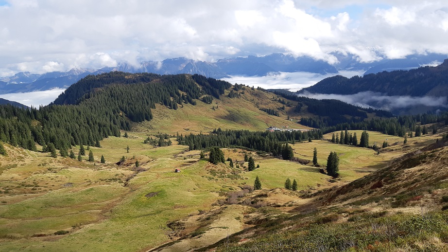 Obermaiselstein 2019 (25)